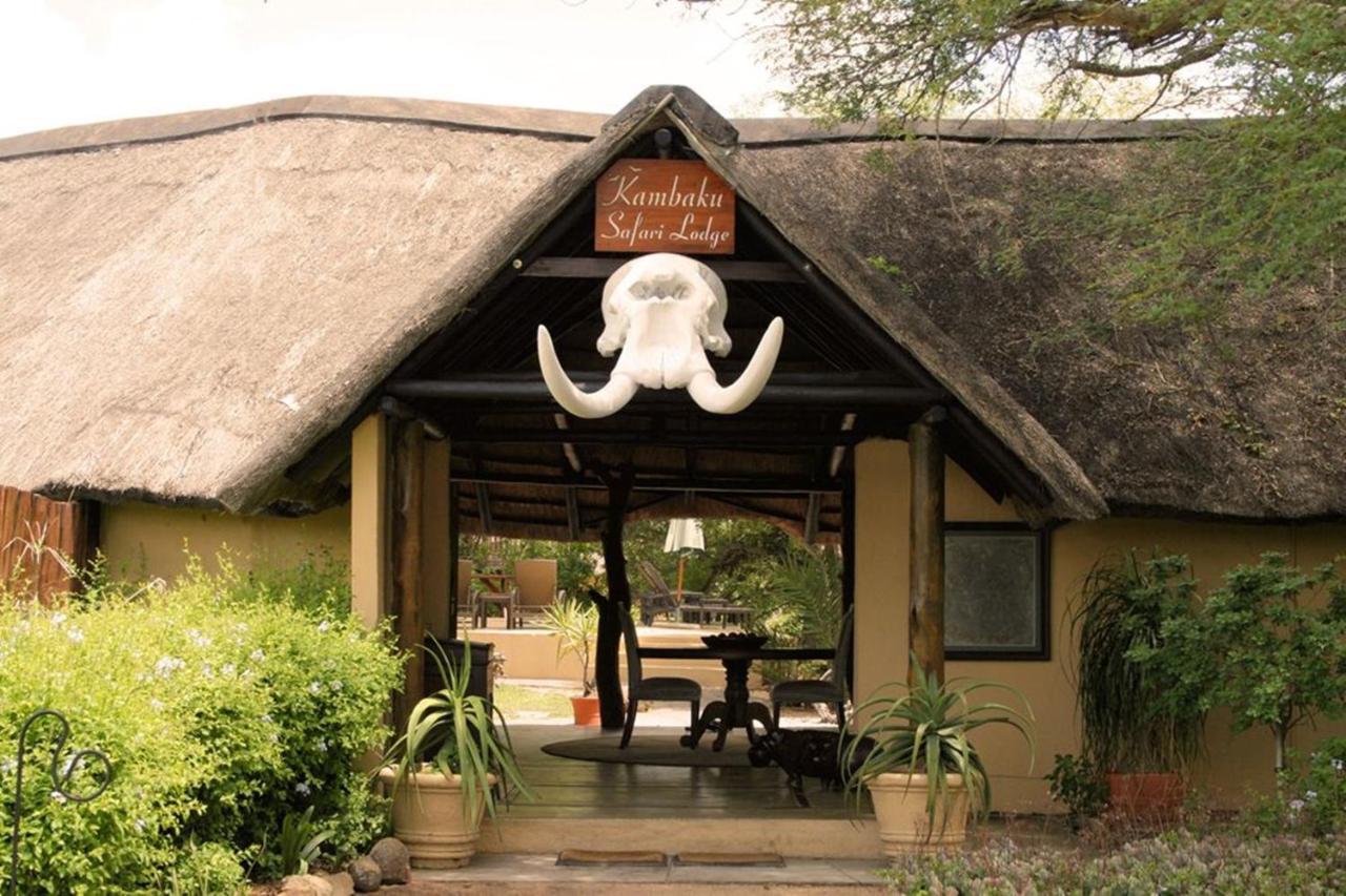 Kambaku Safari Lodge Reserva Timbavati Exterior foto
