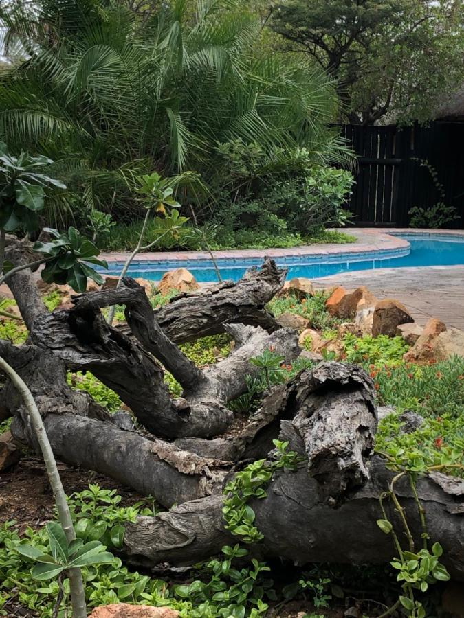 Kambaku Safari Lodge Reserva Timbavati Exterior foto