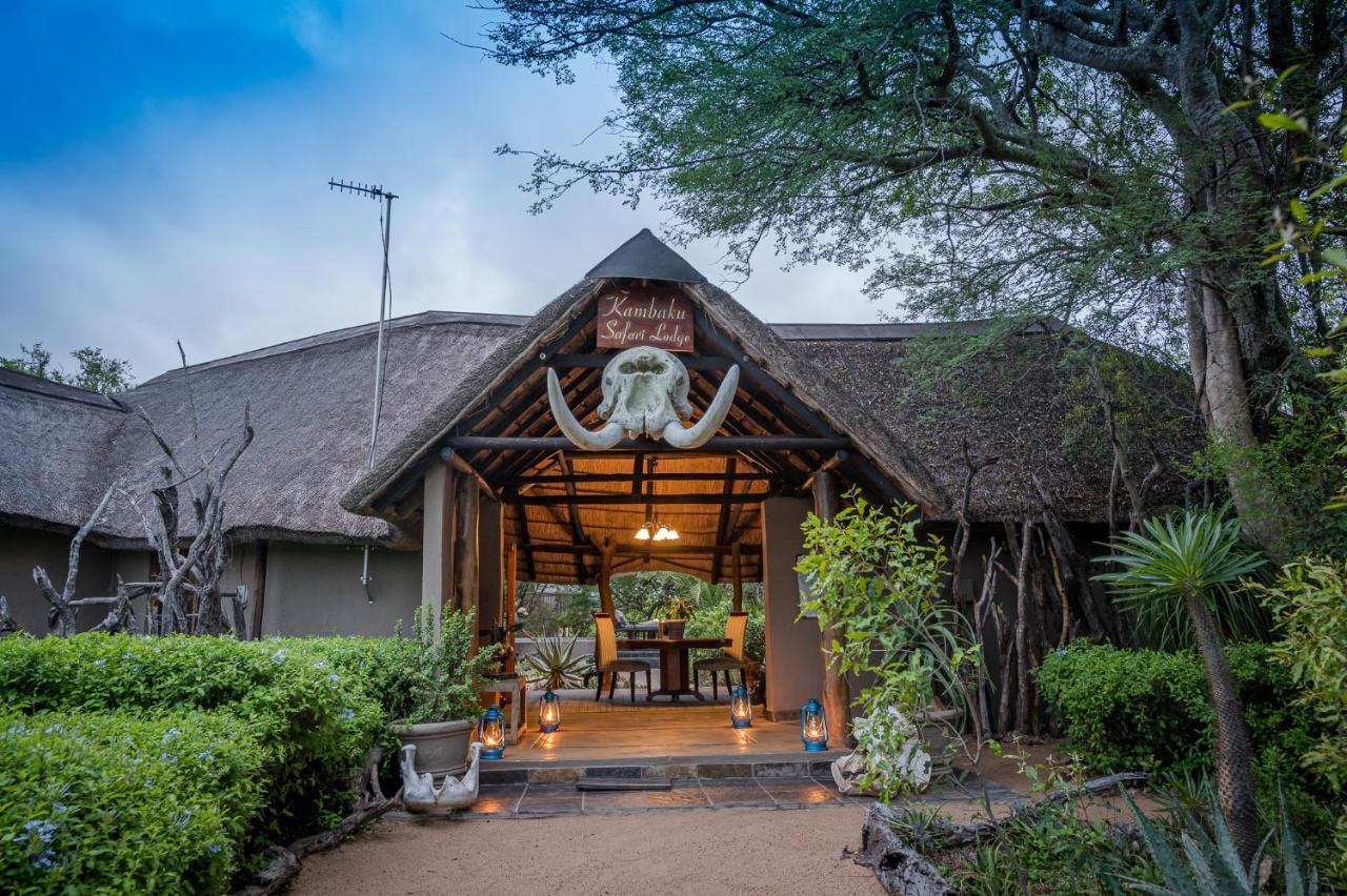 Kambaku Safari Lodge Reserva Timbavati Exterior foto
