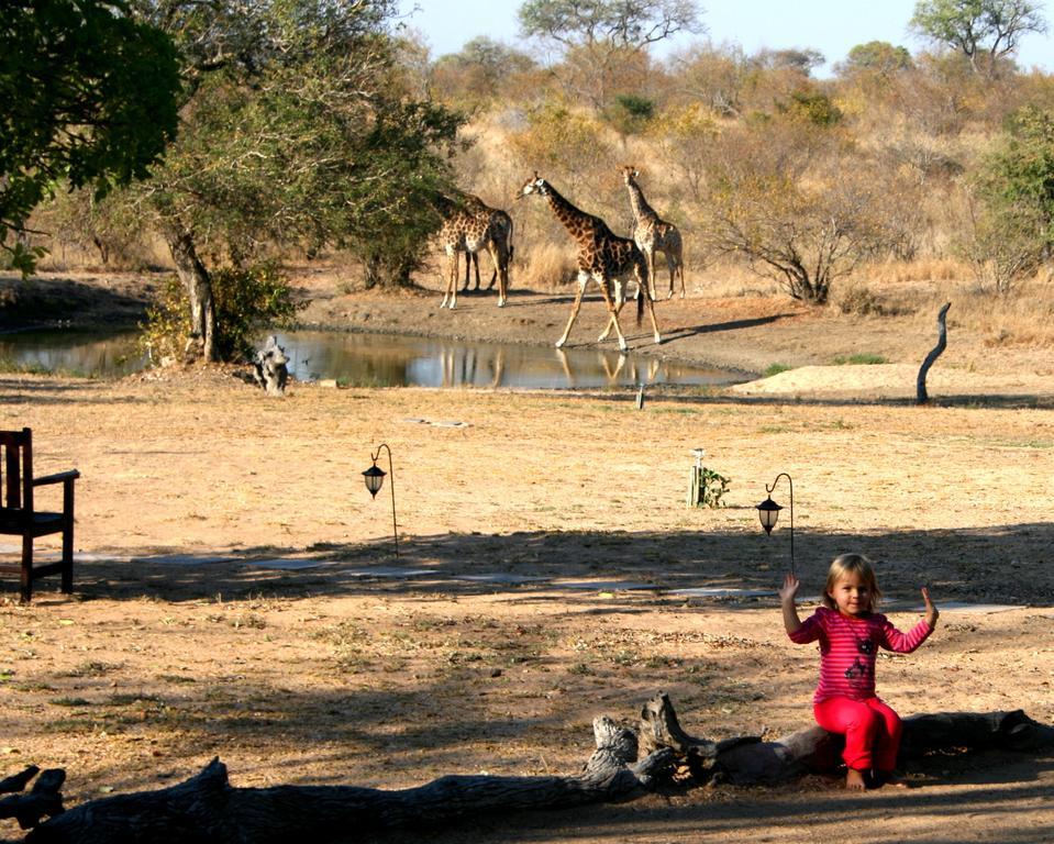 Kambaku Safari Lodge Reserva Timbavati Exterior foto