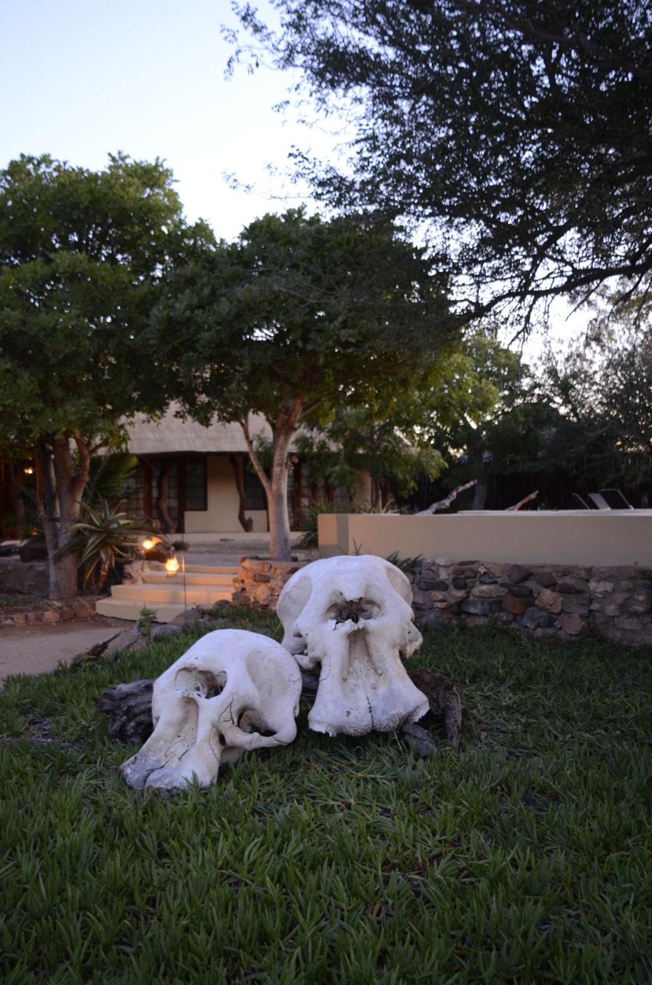 Kambaku Safari Lodge Reserva Timbavati Exterior foto