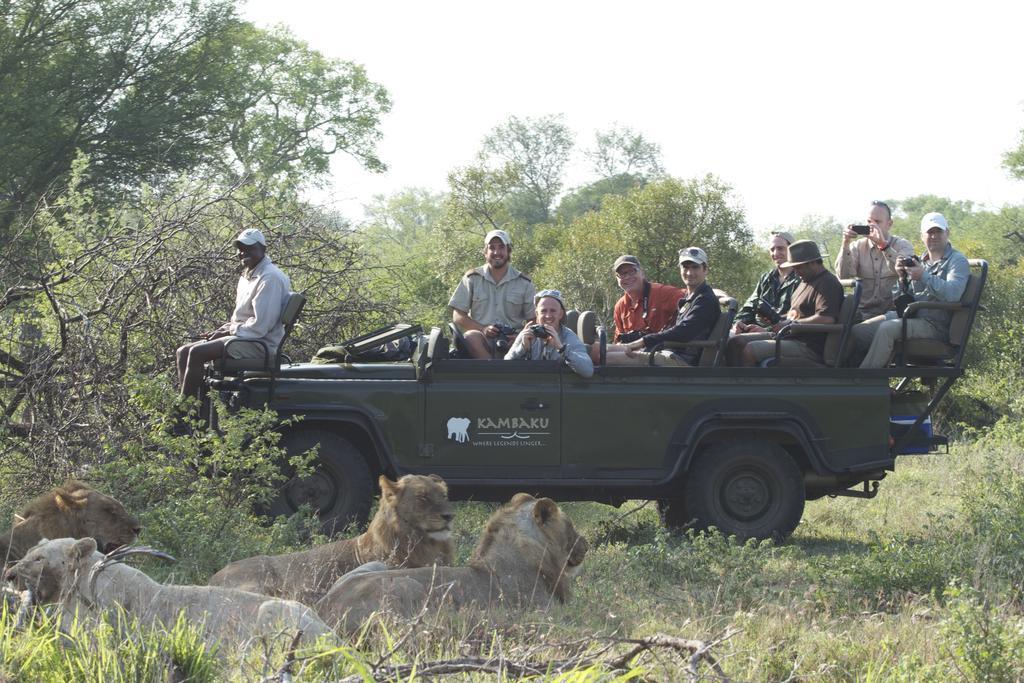Kambaku Safari Lodge Reserva Timbavati Exterior foto