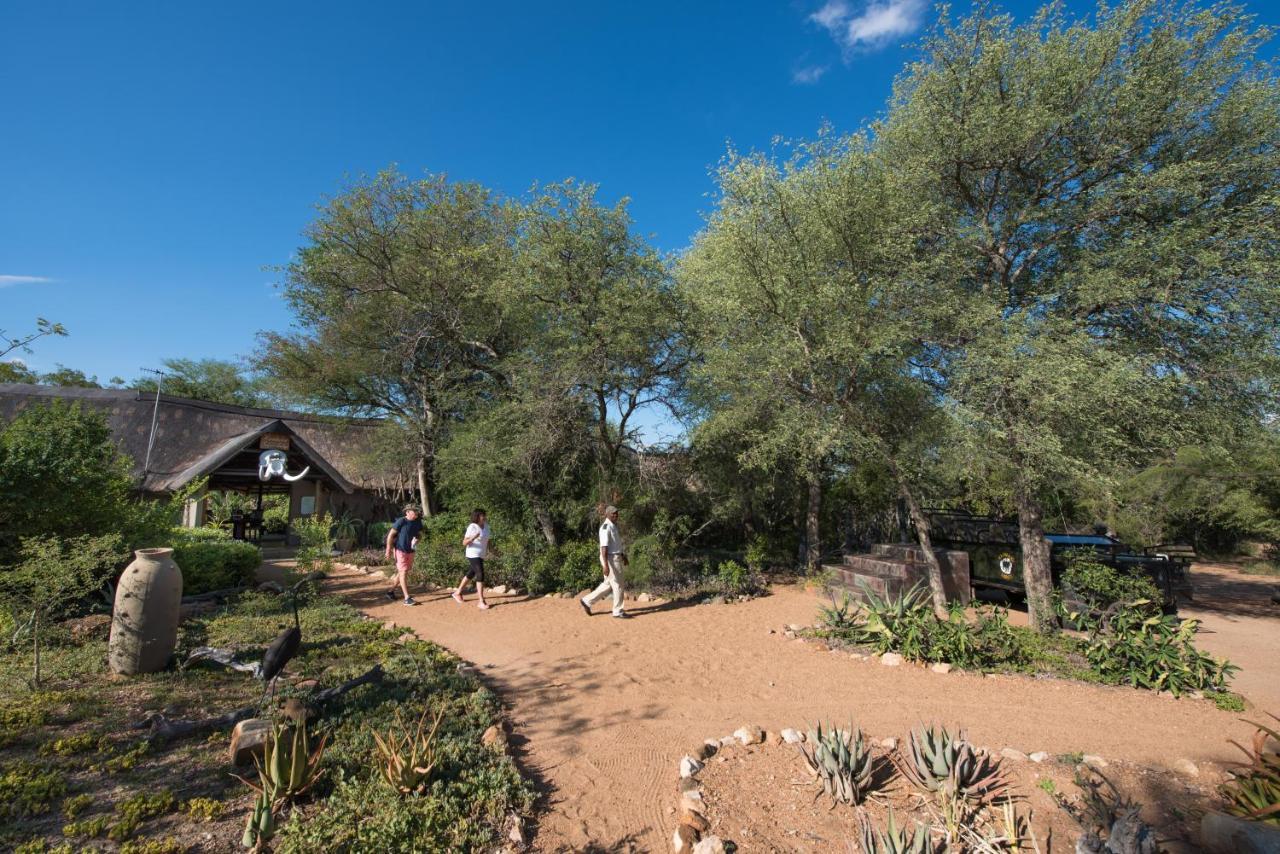 Kambaku Safari Lodge Reserva Timbavati Exterior foto